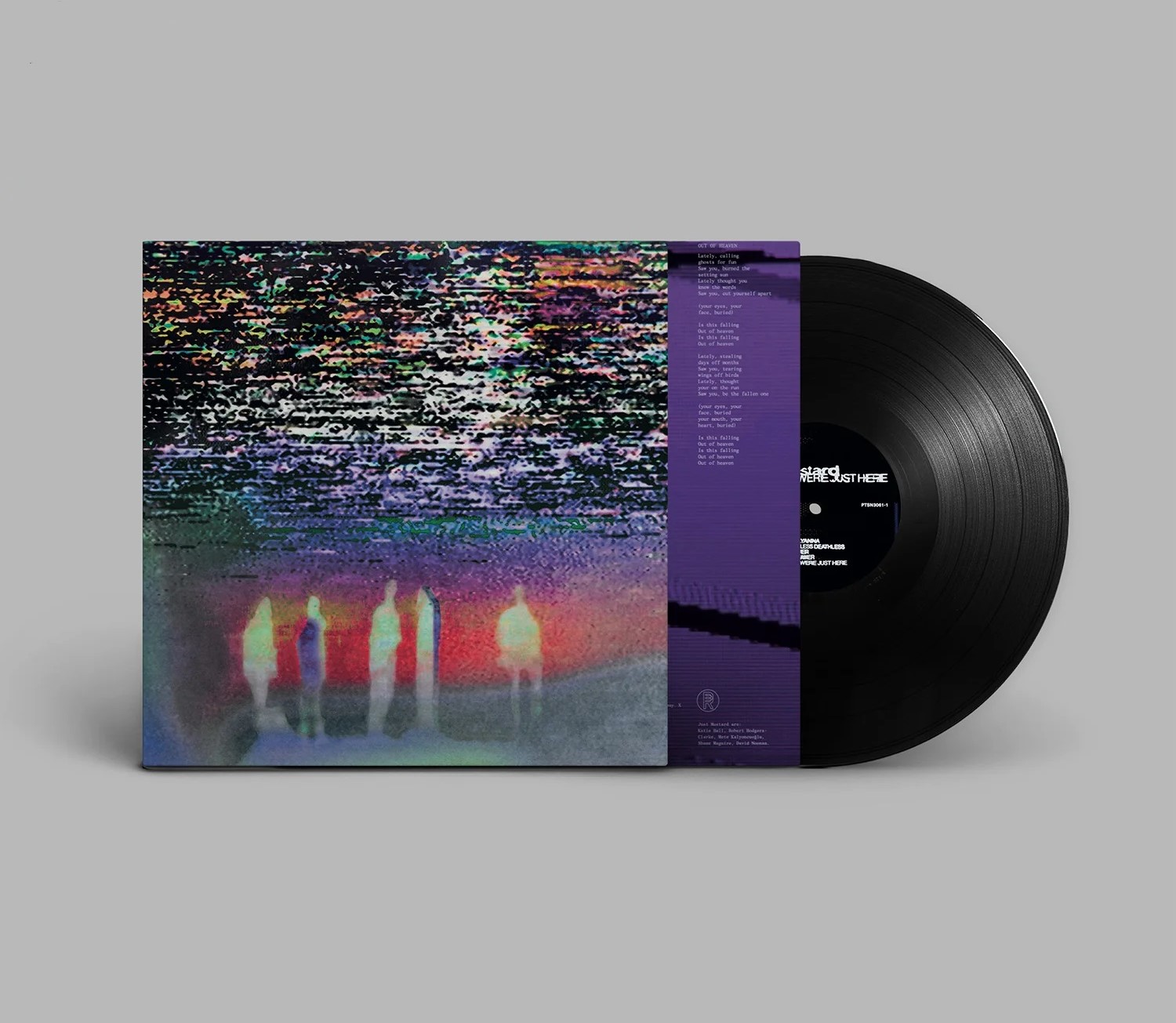 We Were Just Here LP Product Image